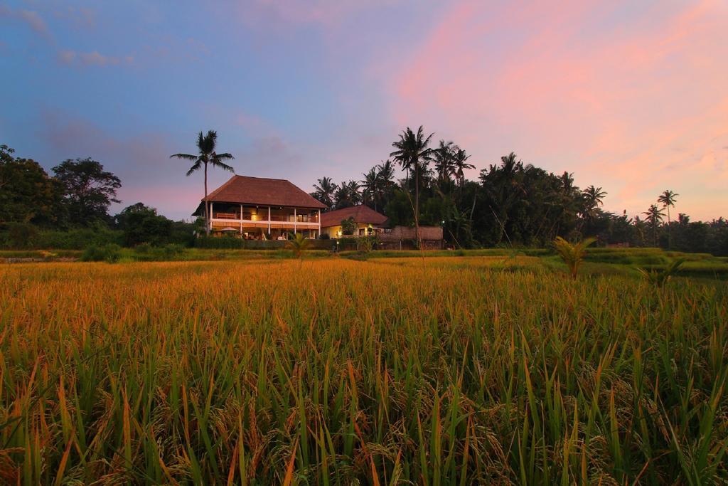 Frangipani Villas Ubud  Exterior photo