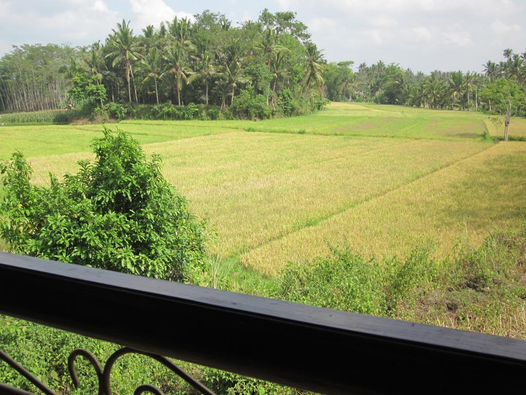 Frangipani Villas Ubud  Exterior photo