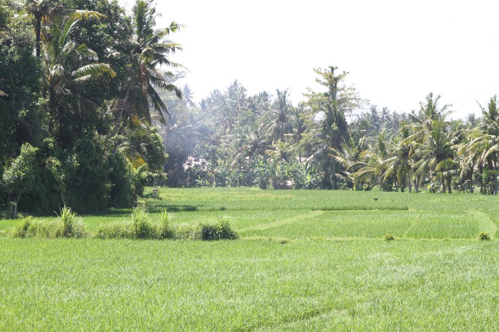Frangipani Villas Ubud  Exterior photo